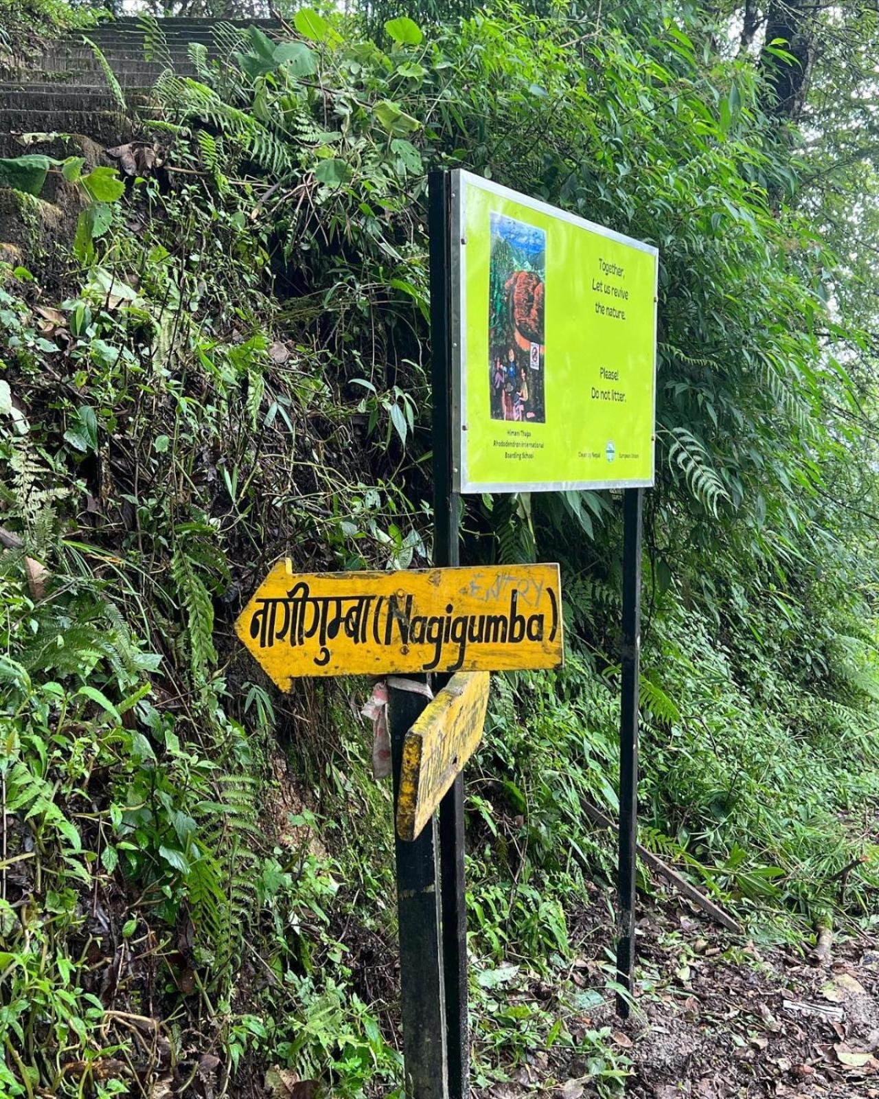 Lemon Tree Premier Budhanilkantha Kathmandu, Nepal מראה חיצוני תמונה